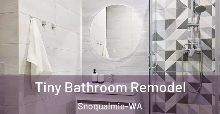 inner Bathroom imggen Tiny Bathroom Remodel Snoqualmie-WA