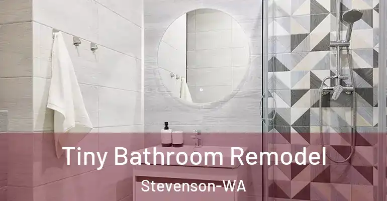 inner Bathroom imggen Tiny Bathroom Remodel Stevenson-WA