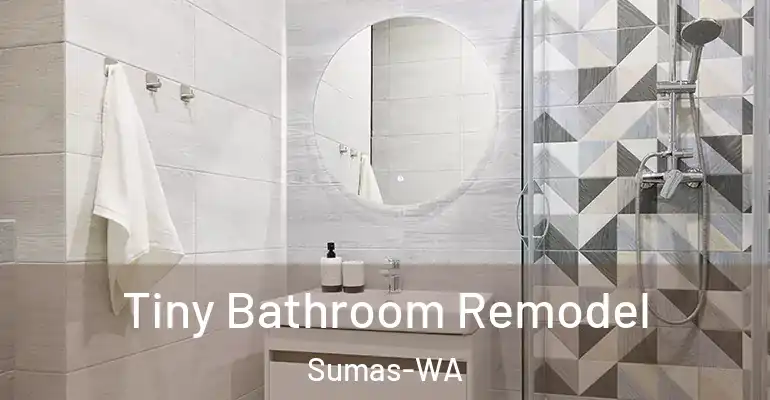 inner Bathroom imggen Tiny Bathroom Remodel Sumas-WA