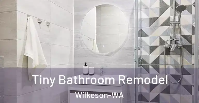 inner Bathroom imggen Tiny Bathroom Remodel Wilkeson-WA
