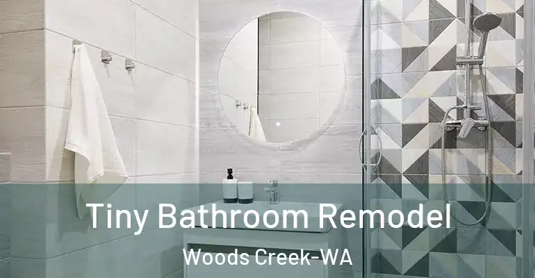 inner Bathroom imggen Tiny Bathroom Remodel Woods Creek-WA