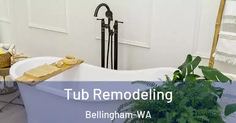 inner Bathroom imggen Tub Remodeling Bellingham-WA