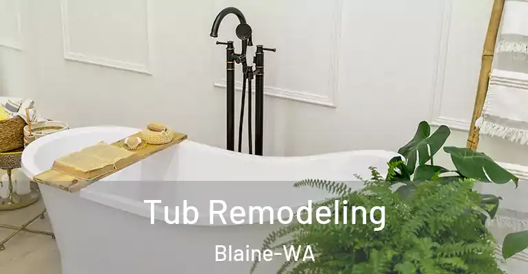 inner Bathroom imggen Tub Remodeling Blaine-WA