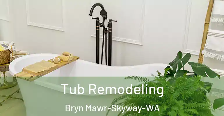 inner Bathroom imggen Tub Remodeling Bryn Mawr-Skyway-WA