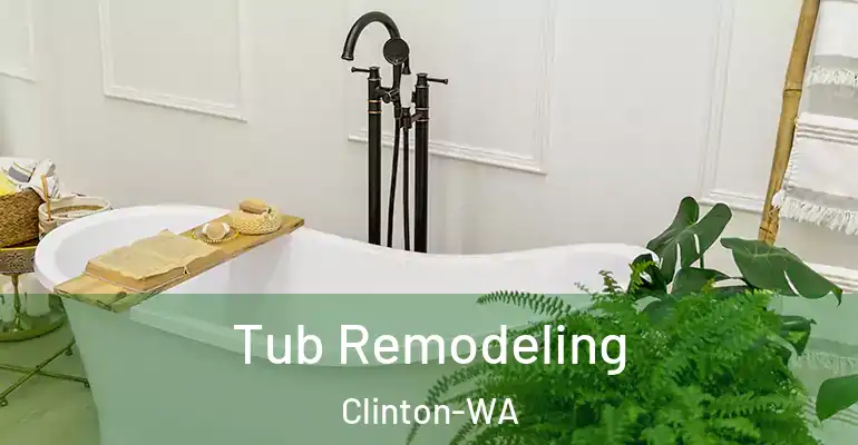 inner Bathroom imggen Tub Remodeling Clinton-WA