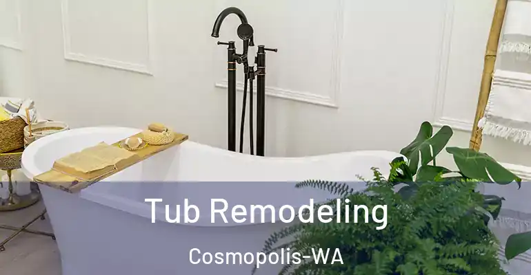 inner Bathroom imggen Tub Remodeling Cosmopolis-WA