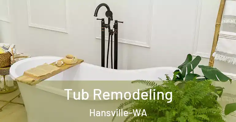 inner Bathroom imggen Tub Remodeling Hansville-WA