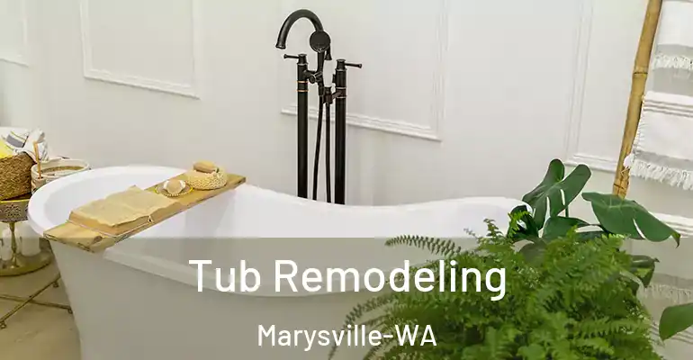 inner Bathroom imggen Tub Remodeling Marysville-WA
