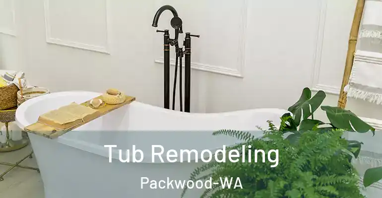 inner Bathroom imggen Tub Remodeling Packwood-WA
