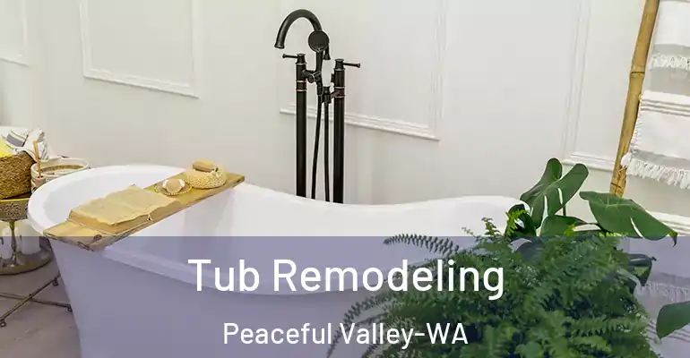 inner Bathroom imggen Tub Remodeling Peaceful Valley-WA