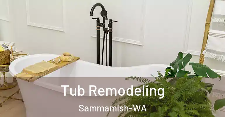 inner Bathroom imggen Tub Remodeling Sammamish-WA