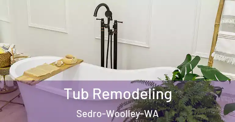 inner Bathroom imggen Tub Remodeling Sedro-Woolley-WA