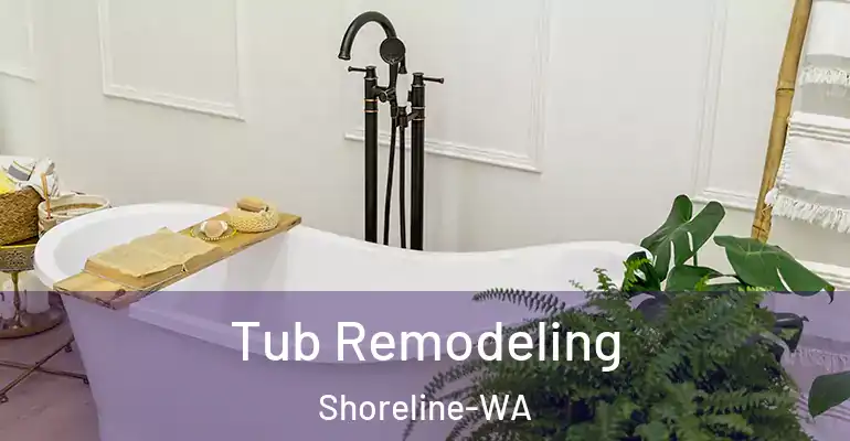 inner Bathroom imggen Tub Remodeling Shoreline-WA