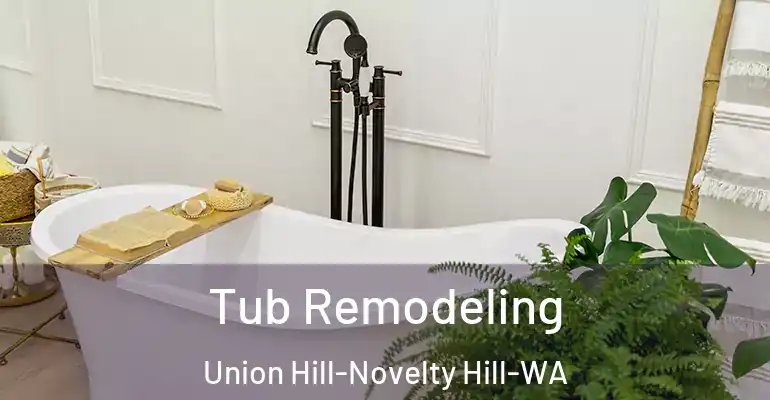 inner Bathroom imggen Tub Remodeling Union Hill-Novelty Hill-WA