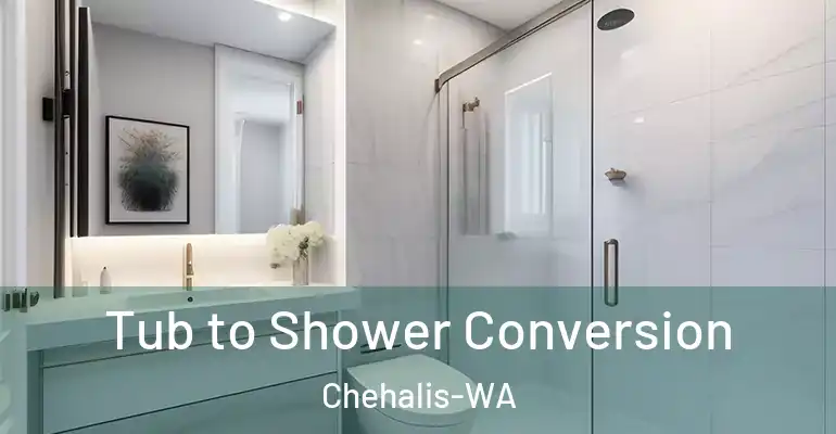 inner Bathroom imggen Tub to Shower Conversion Chehalis-WA