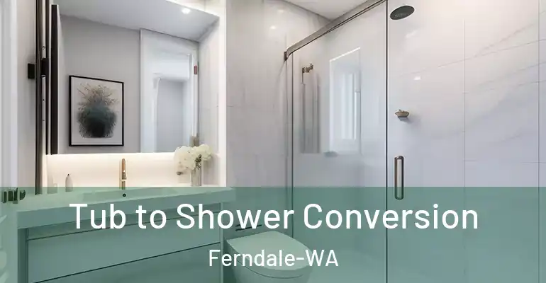 inner Bathroom imggen Tub to Shower Conversion Ferndale-WA