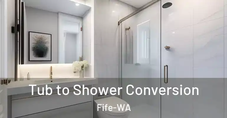 inner Bathroom imggen Tub to Shower Conversion Fife-WA