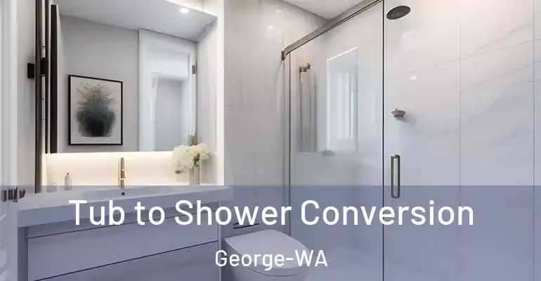 inner Bathroom imggen Tub to Shower Conversion George-WA