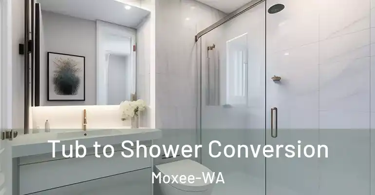 inner Bathroom imggen Tub to Shower Conversion Moxee-WA