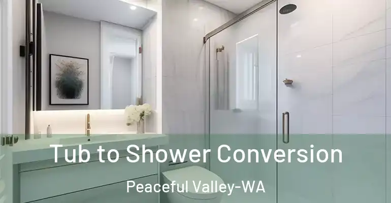 inner Bathroom imggen Tub to Shower Conversion Peaceful Valley-WA