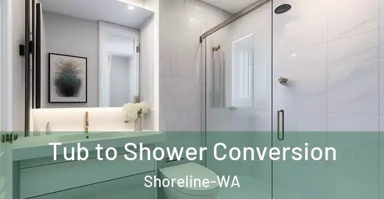 inner Bathroom imggen Tub to Shower Conversion Shoreline-WA