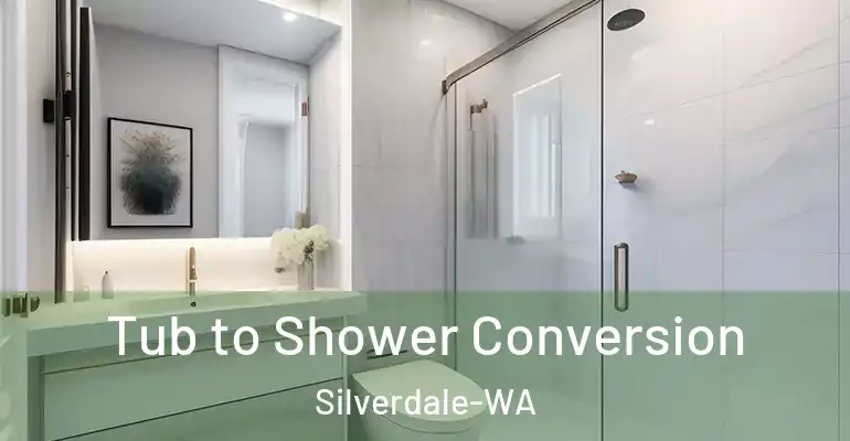 inner Bathroom imggen Tub to Shower Conversion Silverdale-WA
