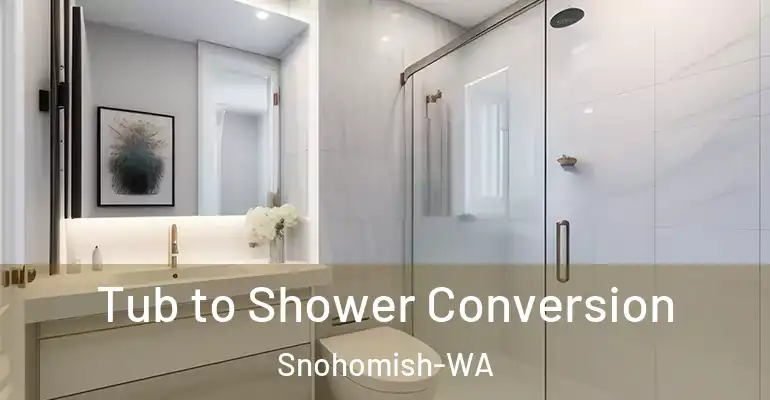 inner Bathroom imggen Tub to Shower Conversion Snohomish-WA
