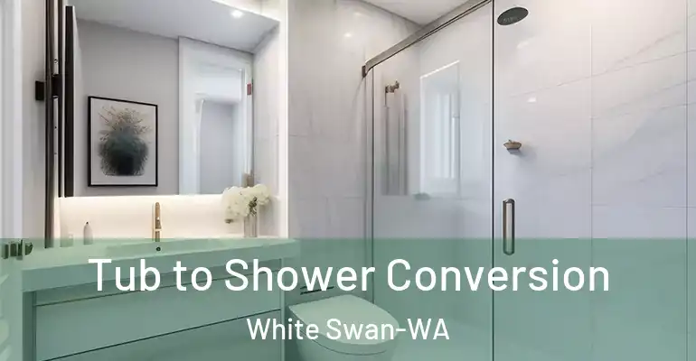 inner Bathroom imggen Tub to Shower Conversion White Swan-WA
