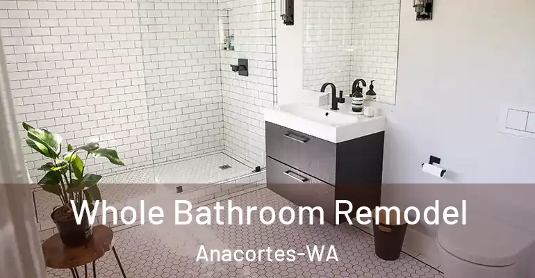 inner Bathroom imggen Whole Bathroom Remodel Anacortes-WA