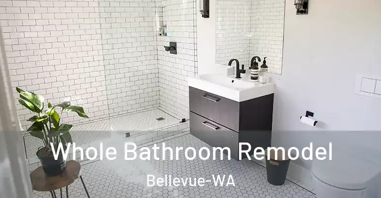 inner Bathroom imggen Whole Bathroom Remodel Bellevue-WA