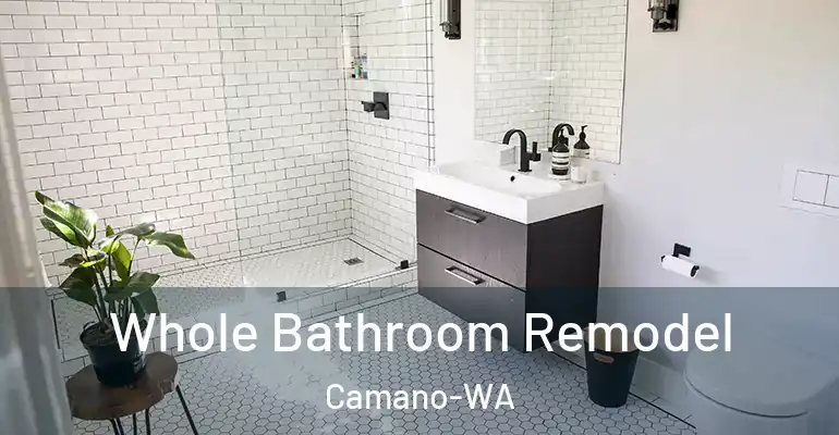 inner Bathroom imggen Whole Bathroom Remodel Camano-WA