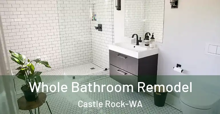 inner Bathroom imggen Whole Bathroom Remodel Castle Rock-WA