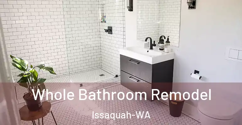 inner Bathroom imggen Whole Bathroom Remodel Issaquah-WA
