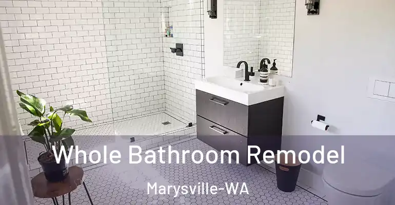 inner Bathroom imggen Whole Bathroom Remodel Marysville-WA