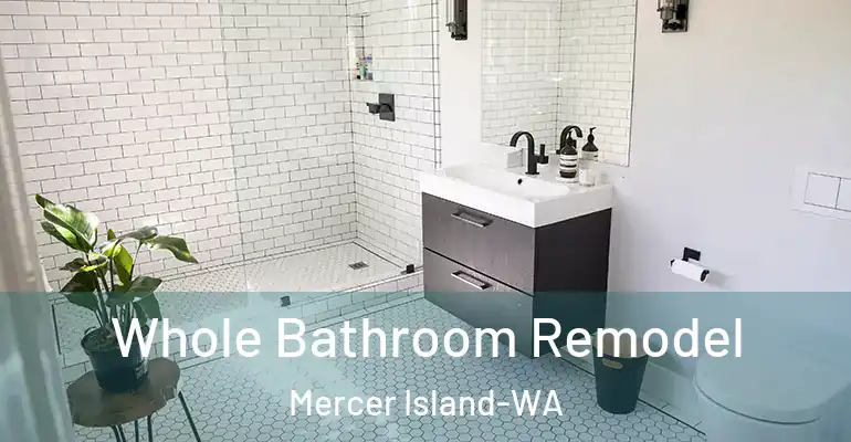inner Bathroom imggen Whole Bathroom Remodel Mercer Island-WA