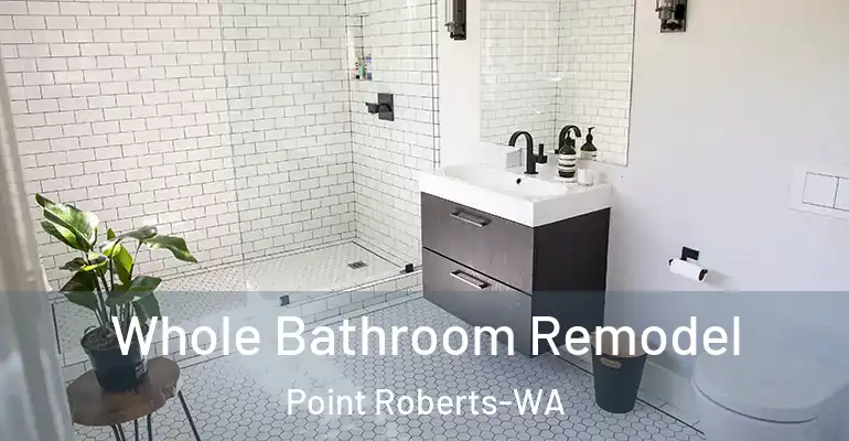 inner Bathroom imggen Whole Bathroom Remodel Point Roberts-WA
