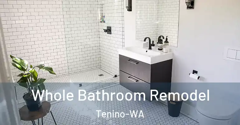 inner Bathroom imggen Whole Bathroom Remodel Tenino-WA